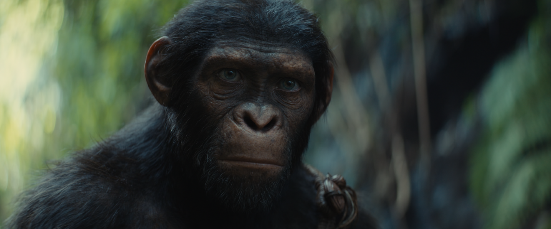 Kingdom of the of the Apes (2024) Trailer 1 2K DTSHD MA and AC3